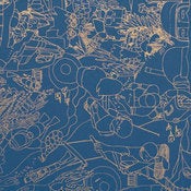 Image of aquatic roll