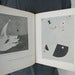 Image of joan miro