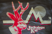Image of women's grey jackalopekid tee