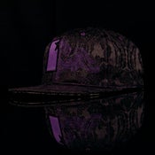 Image of Paisley Ltd.