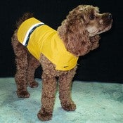 Image of RAINWEAR | SIZE: SMALL