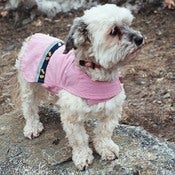 Image of RAINWEAR | SIZE: XS