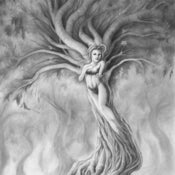 Image of Dryad 2