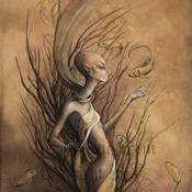 Image of Oddities 4