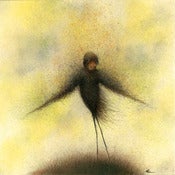 Image of Delicate Migration