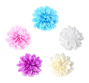 Image of Large Pastel Flower Hair Clips