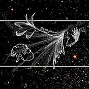 Image of FRIENDS FOREVER / GANG WIZARD split cd