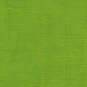 Image of lime green <br>{inside fabric}