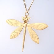 Image of Large Dragonfly