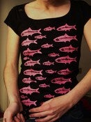 Image of ANCHOAS