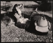 Image of At Rest