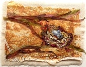 Image of Robin's Nest