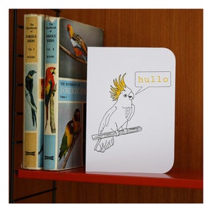 Image of TOOEY HULLO by Katydid