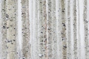 Image of Zen Aspens