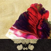 Image of Z - "Mikabe" CD