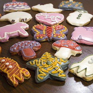 Image of sugar cut-out cookie