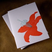 Image of coral lily botanical | single