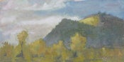 Image of Sunny Patch - oil painting