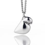 Image of Silver Kakapo Pendant