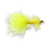 Image of Yellow Yummy