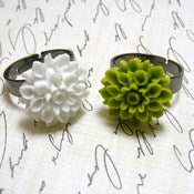 Image of Chrysanthemum Bloom Rings