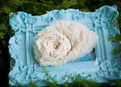 Image of {BEST SELLER} MILLIE