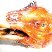 Image of Cock Head