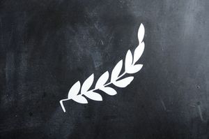 Image of single magnolia branch - right