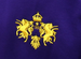 Image of TBBBC Harmony Crewneck Purple