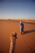 Image of Across the Sahara
