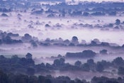 Image of Glen of Aherlow