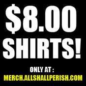 Image of $8 MYSTERY SHIRT DEAL!