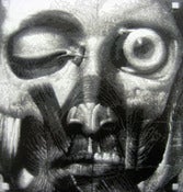 Image of LUCAMALEONTE - stencil on canvas - ed.5