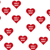 Image of Holy Shit Hoodie