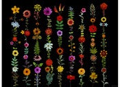 Image of Sharon Elphick <br>Cut Flowers Poster