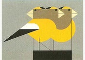 Image of Charley Harper <br> Gregarious Grosbeaks