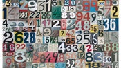 Image of Sharon Elphick<br>Bingo