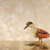 Image of False Hopes - Doomtree