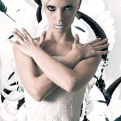 Image of Charmer