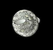 Image of silver spotty large ring