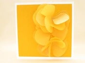 Image of yellow petals