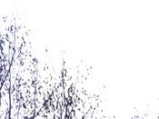 Image of Inane "Ensemble" 2010