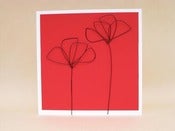 Image of poppies