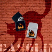 Image of Light Cat