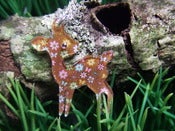 Image of Flirty Little Fawn Necklace