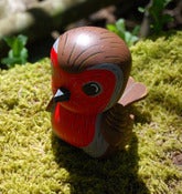 Image of Ci-birdie Robin