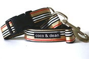 Image of nyc collar and leash set