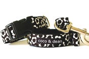 Image of daisy black/white collar and leash set