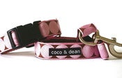 Image of pink dot collar and leash set
