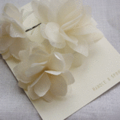 Image of White Hair Pin Set